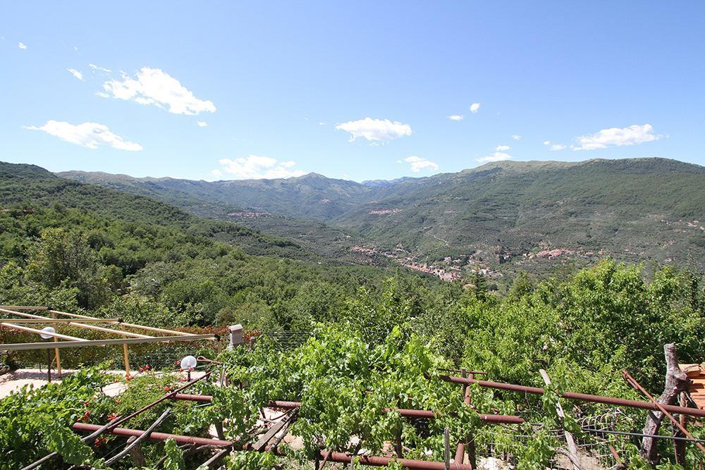 Agriturismo Nonni Devia Lucinasco Kültér fotó